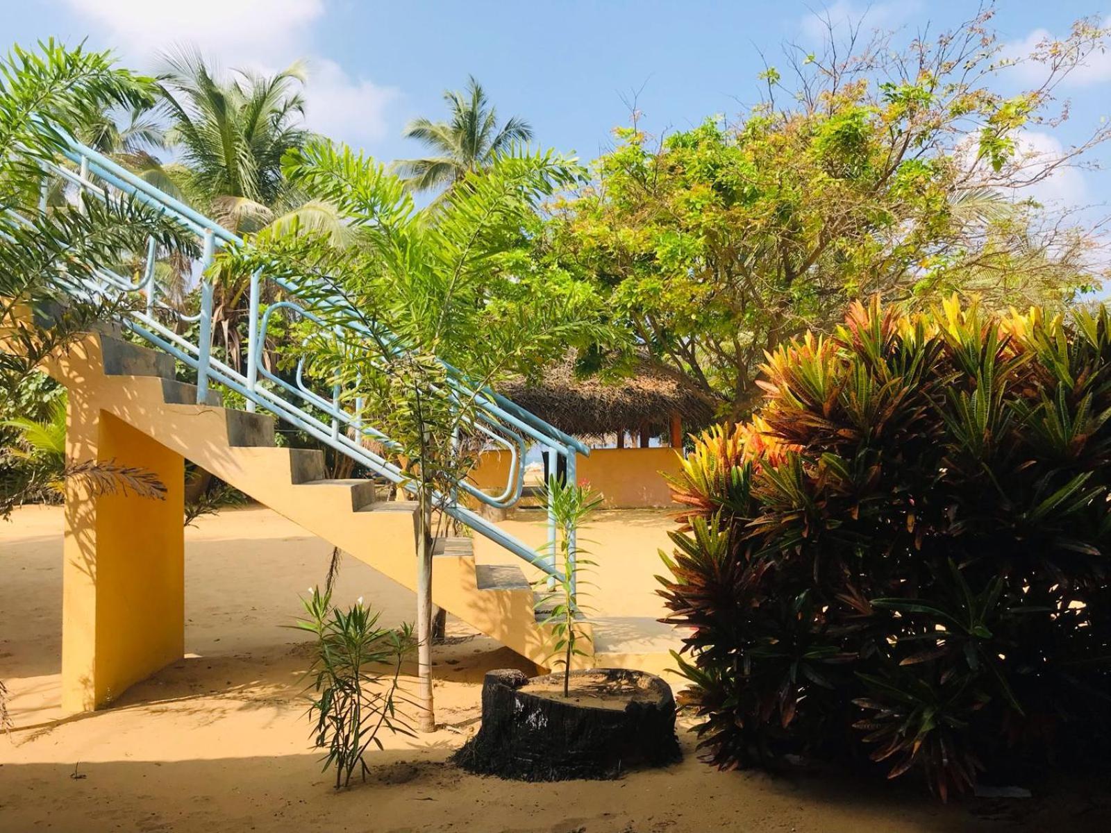 Dolphin Village Alankuda Exterior photo